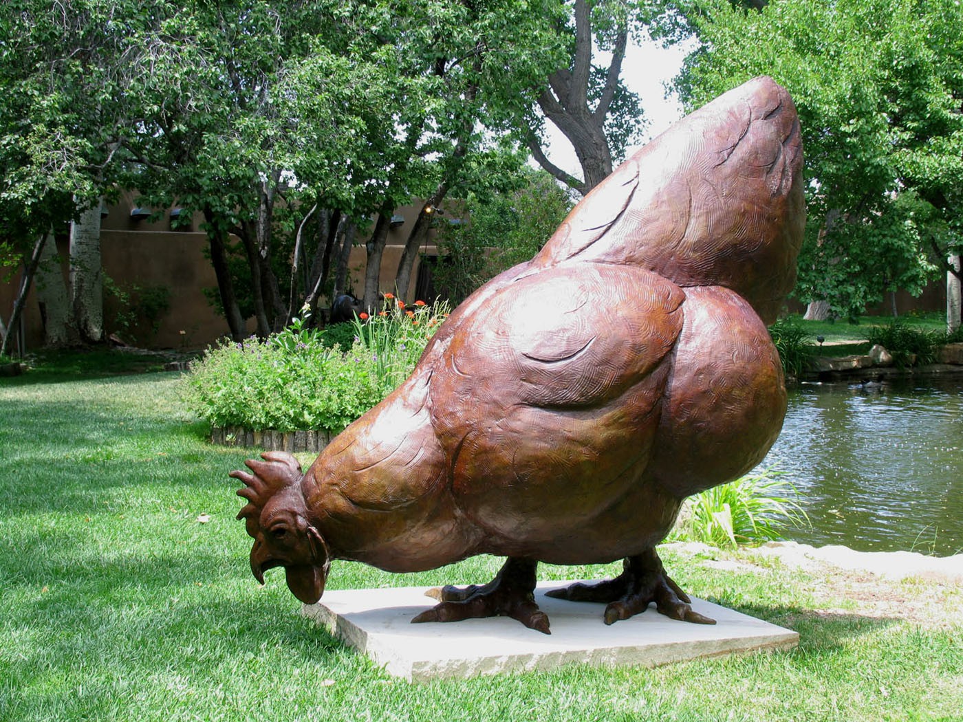 Bronze cock 